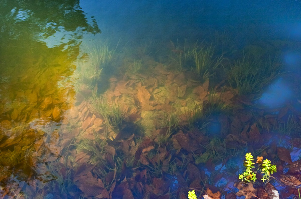 Clarion River Reflections