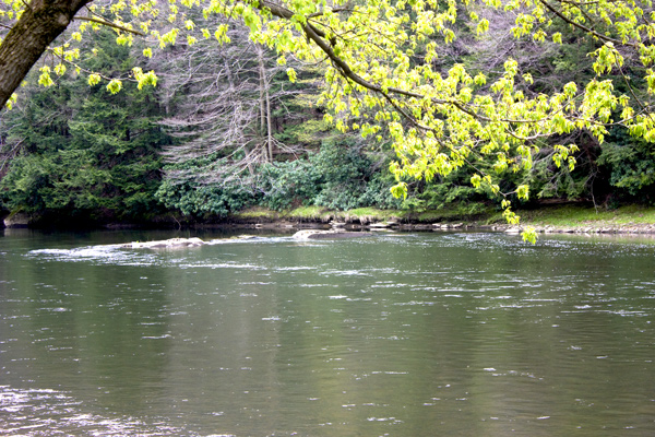 River's Edge